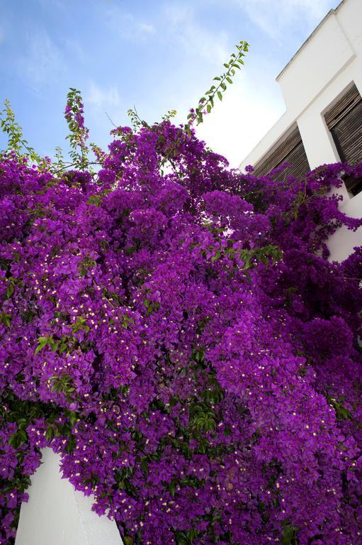 Haspeyma Otel Bodrum Ngoại thất bức ảnh